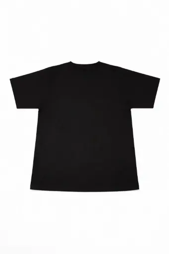 Remera Boxy (art 25.07)